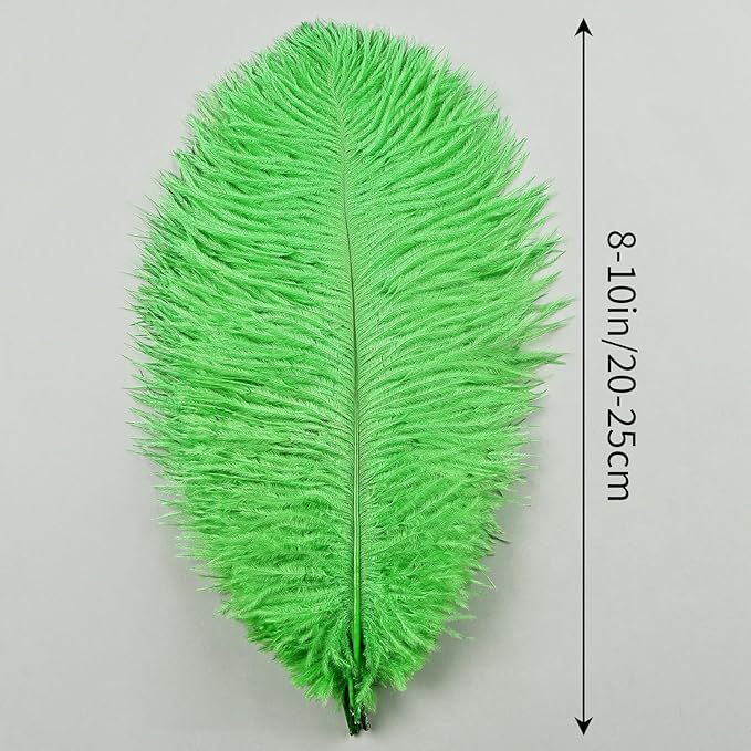 THARAHT Green Ostrich Feathers 12pcs Natural Bulk 8-10Inch 20cm-25cm for Crafts Wedding Party Centerpieces Mardi Gras and Home Decoration Feathers