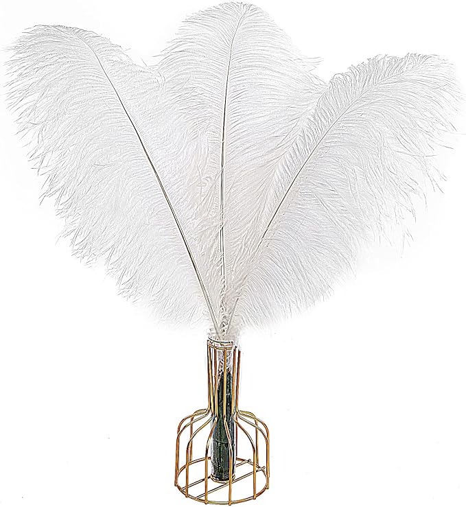 THARAHT 12pcs White Ostrich Feathers Natural Bulk 14-16Inch 35cm-40cm for Wedding Party Centerpieces Easter Gatsby and Home Decorate Ostrich Feathers