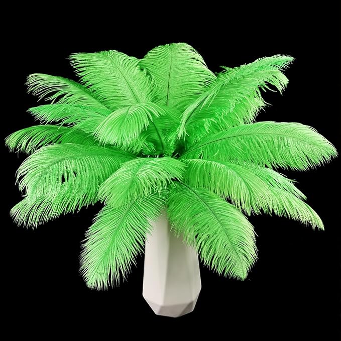 THARAHT Green Ostrich Feathers 12pcs Natural Bulk 8-10Inch 20cm-25cm for Crafts Wedding Party Centerpieces Mardi Gras and Home Decoration Feathers