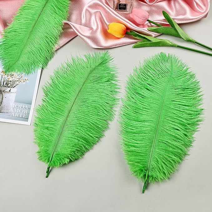 THARAHT Green Ostrich Feathers 12pcs Natural Bulk 8-10Inch 20cm-25cm for Crafts Wedding Party Centerpieces Mardi Gras and Home Decoration Feathers
