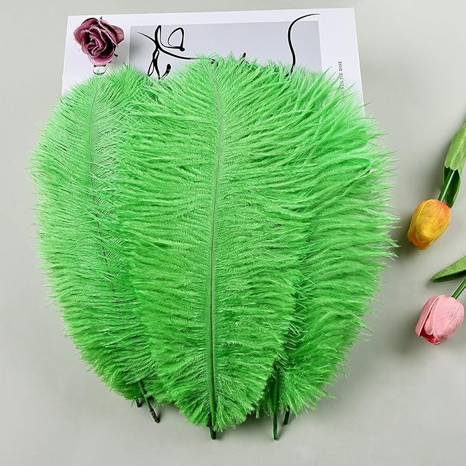 THARAHT Green Ostrich Feathers 12pcs Natural Bulk 8-10Inch 20cm-25cm for Crafts Wedding Party Centerpieces Mardi Gras and Home Decoration Feathers